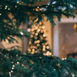 Christmas lights